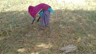 देसी इंडियन बॉयफ्रेंड ने खेत में काम कर रही उसकी मस्त चोदाई