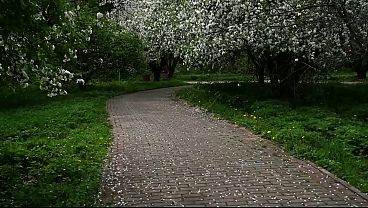 Sindrom Cina, Bikin Nagih, Bikin Basah, Bikin Gelisah.
