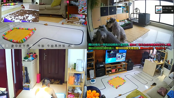 Live Cina, Goyang-goyang Bikin Bikin