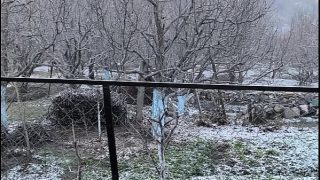 Randi Saas Kontol Haus Air Mani