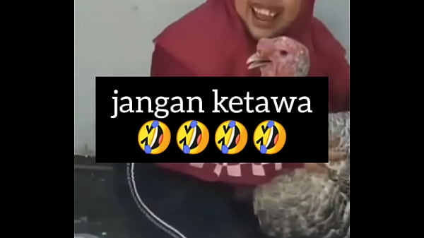Gadis Montok Ngakak Sambil Ngeloyor Nafsu.